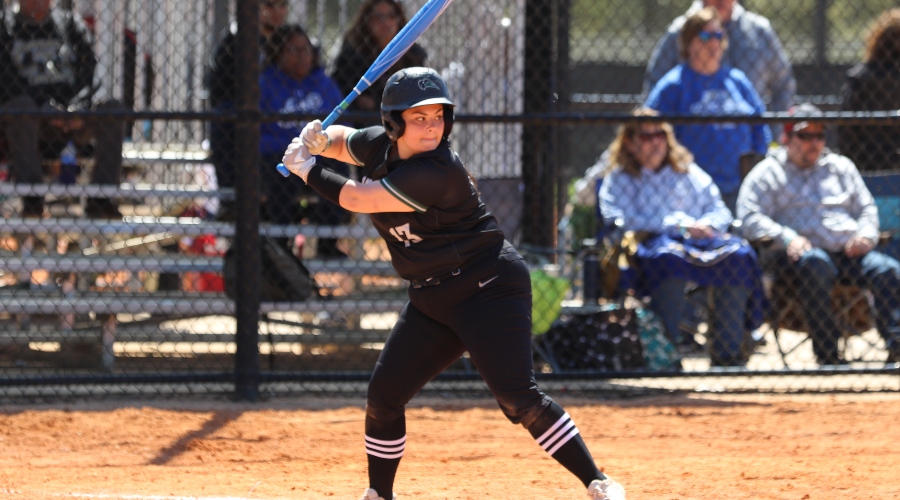 Bison Softball Clinics Nichols College